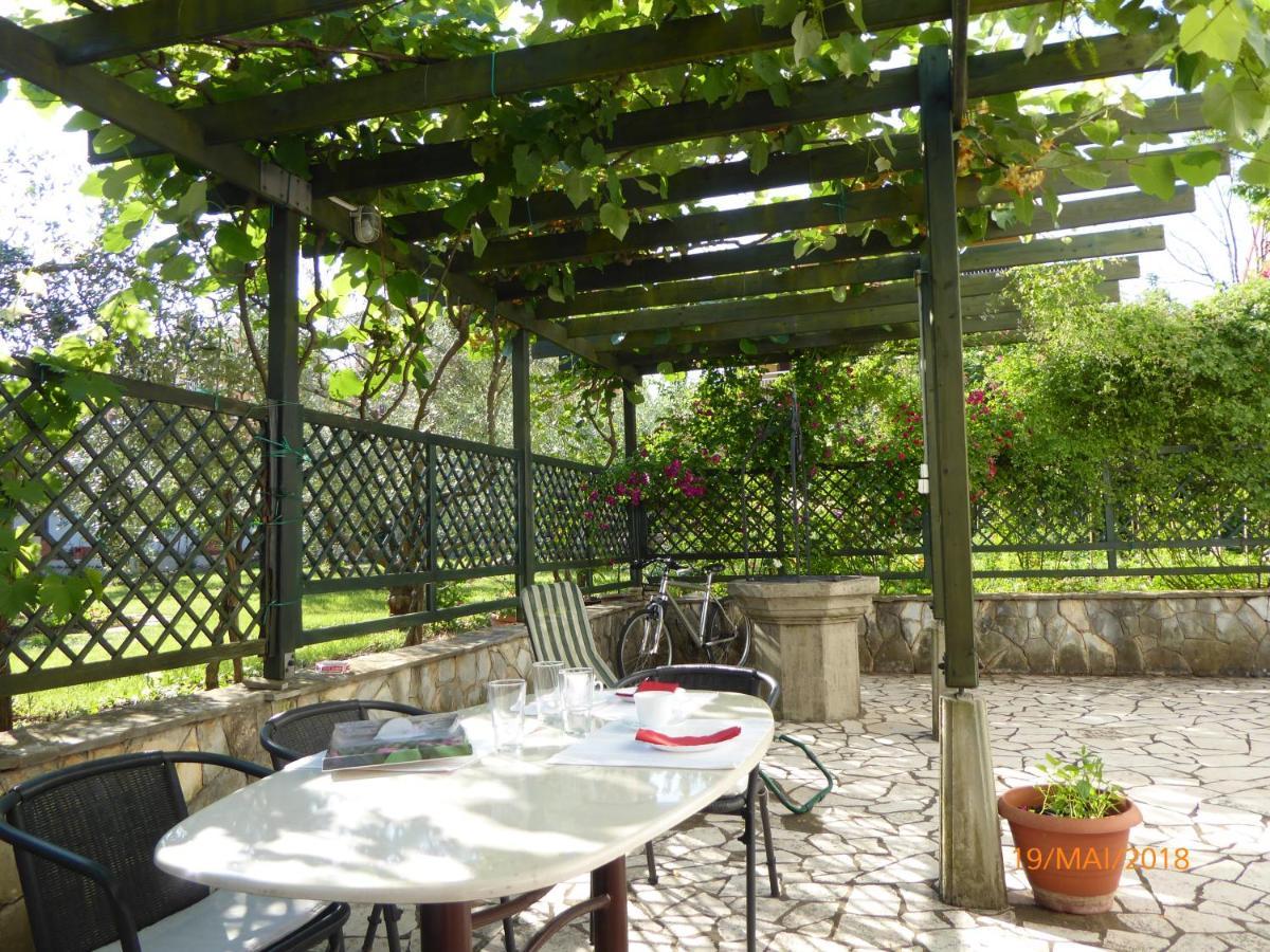 Dubasnica Apartment